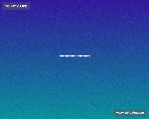 美职女篮季后赛席位争夺白热化 火花与梦想上演激烈对决